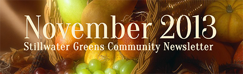 November 2013 Newsletter
