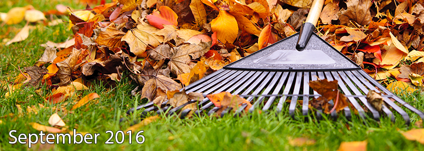 Welcome to fall! Raking Leaves - September 2016 Newsletter Header Welcome to fall! Raking Leaves - September 2016 Newsletter Header