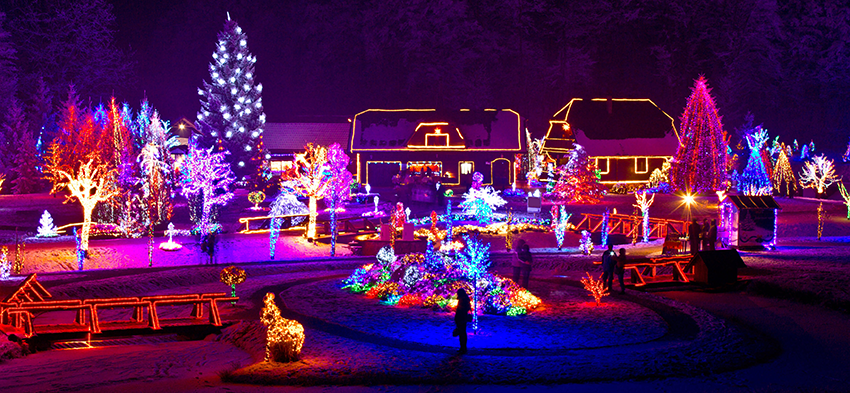 Holiday Lights